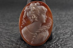 10 items , vintage shell cameo White and brown color (Total 206.0ct) with case.