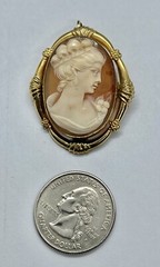 Vintage Gold Filled Carved Shell Lady CAMEO Left Facing Ornate Frame Brooch