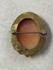 2 Antique Shell Cameo Brooches Pins One Is Ornate & Bejeweled